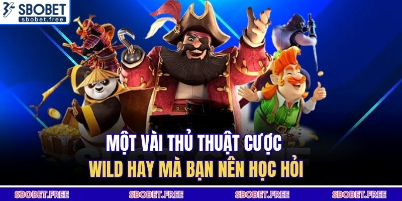 Một vài thủ thuật cược Wild hay mà bạn nên học hỏi